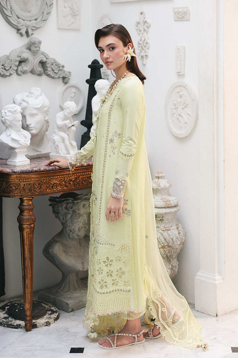 QALAMKAR | QLINE LAWN DROP 1 | MOONSTONE