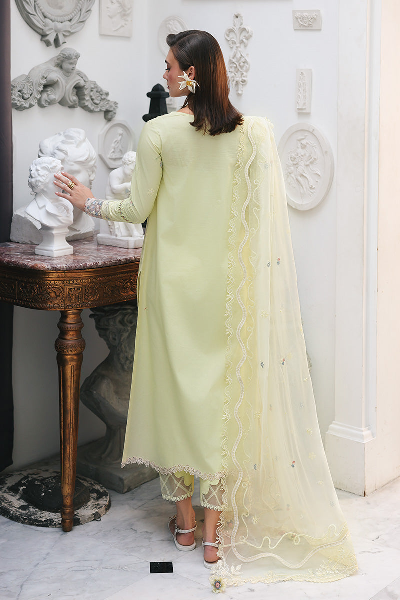 QALAMKAR | QLINE LAWN DROP 1 | MOONSTONE