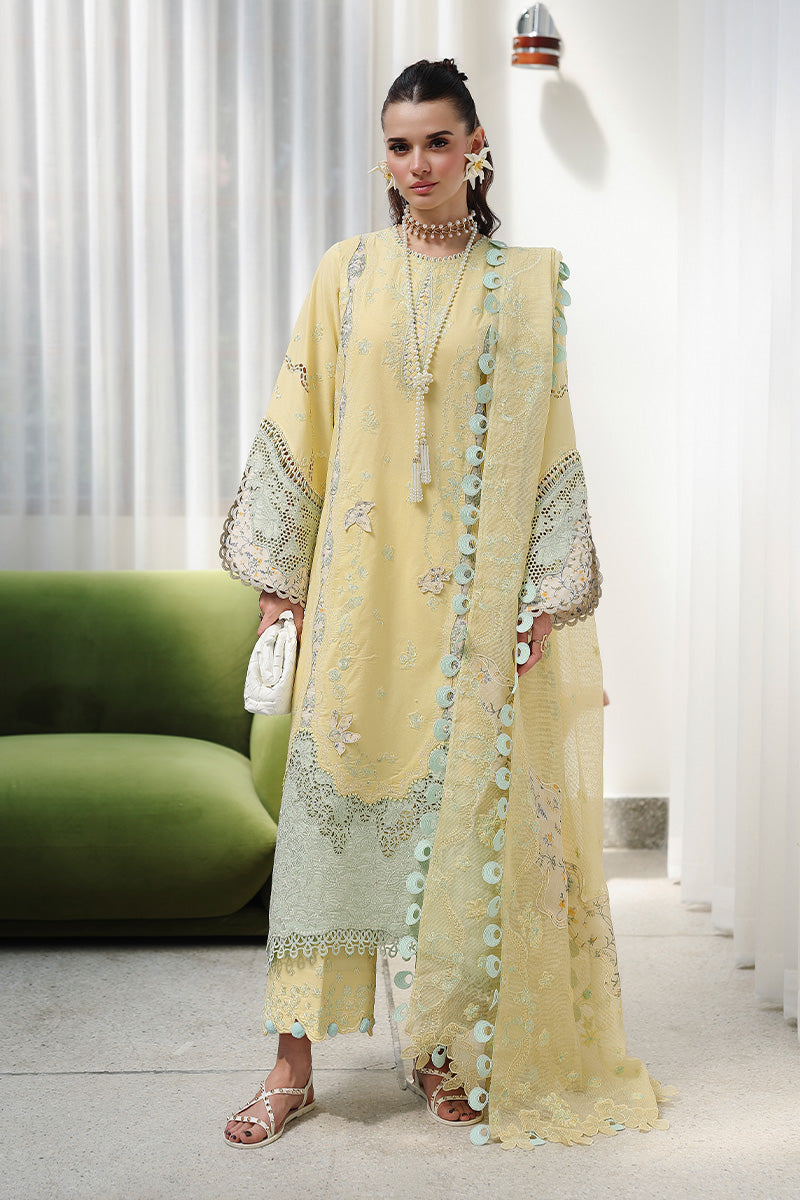 Qalamkar  | Chikankari Eid Edit '26 | Ayla