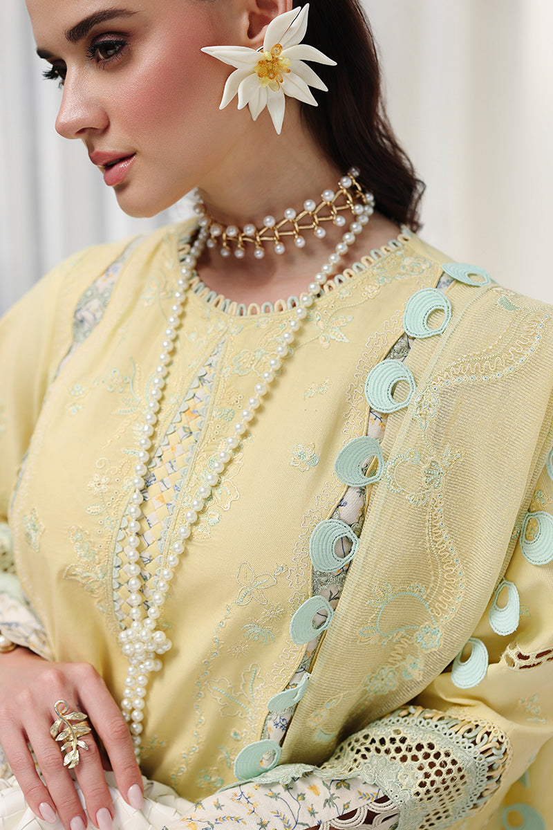 Qalamkar  | Chikankari Eid Edit '26 | Ayla