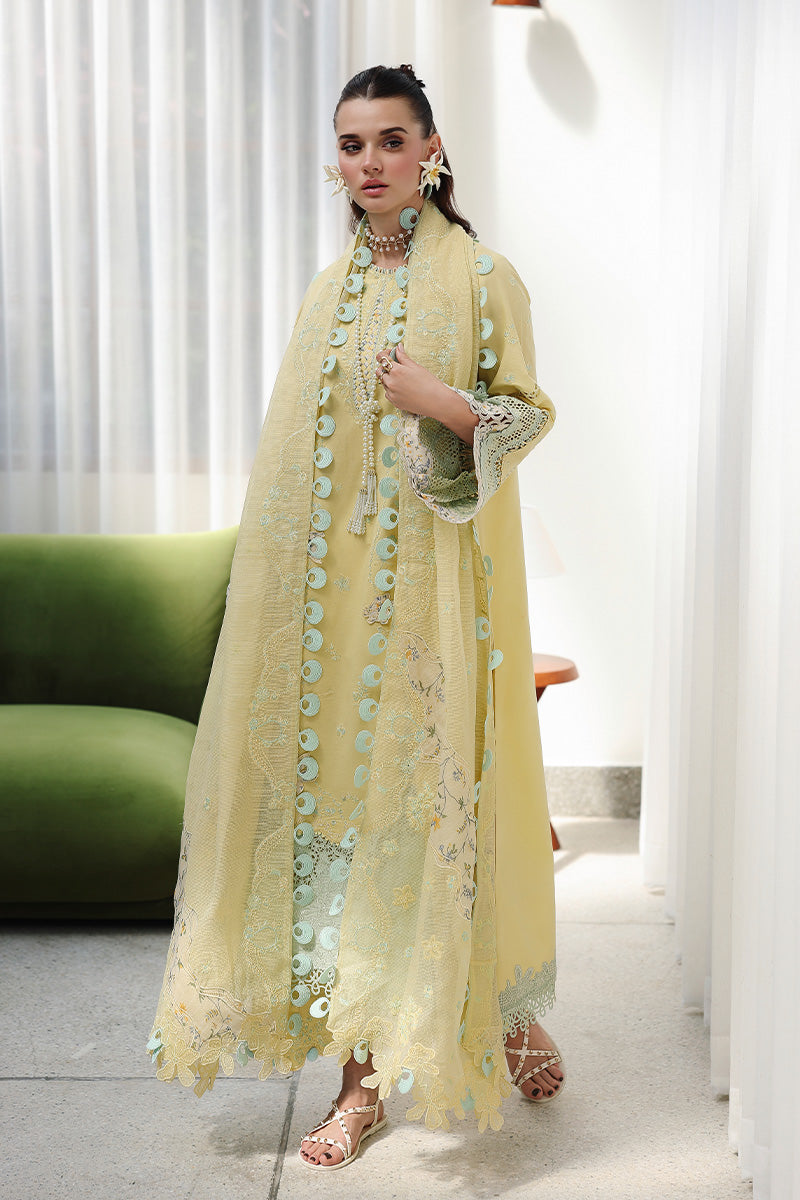 Qalamkar  | Chikankari Eid Edit '26 | Ayla
