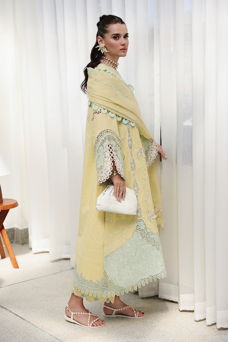 Qalamkar  | Chikankari Eid Edit '26 | Ayla