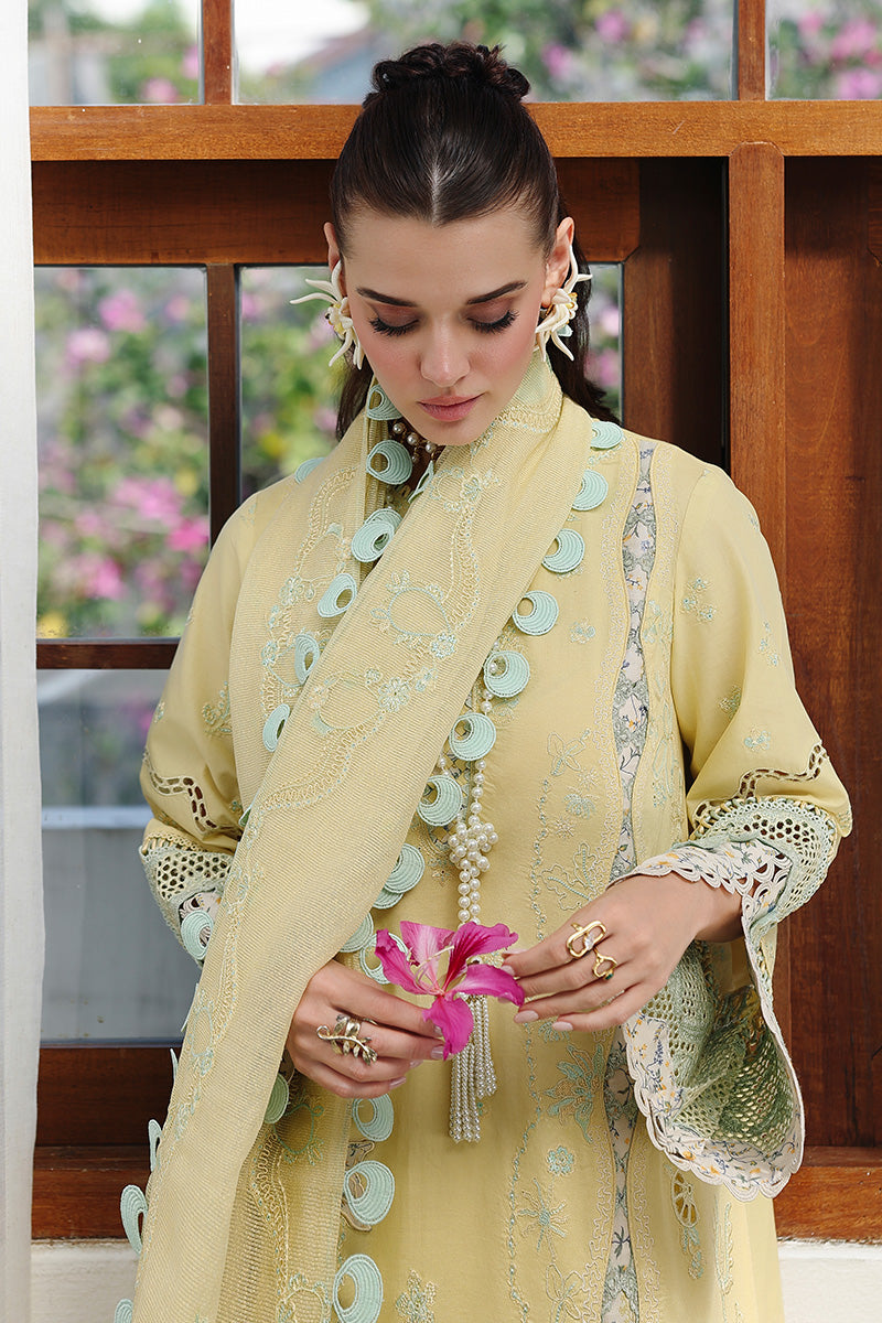 Qalamkar  | Chikankari Eid Edit '26 | Ayla