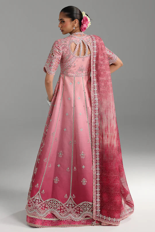 QALAMKAR | FESTIVE | RAHMAH