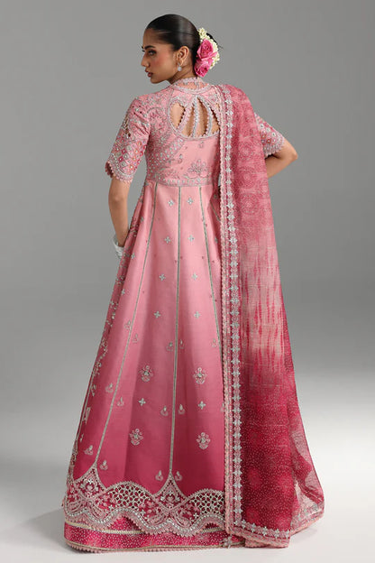 QALAMKAR | FESTIVE | RAHMAH