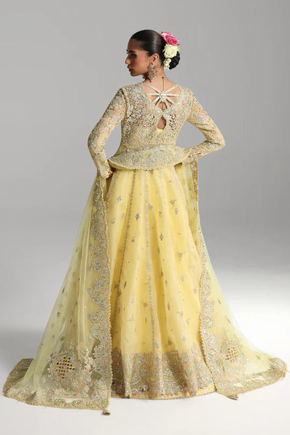 QALAMKAR | FESTIVE | HOOR