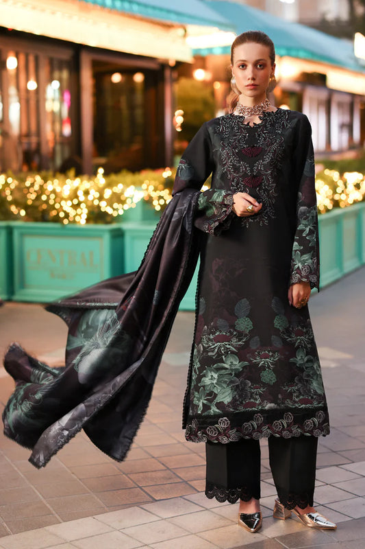RANG RASIYA |  Lifestyle Winter | Evlyn