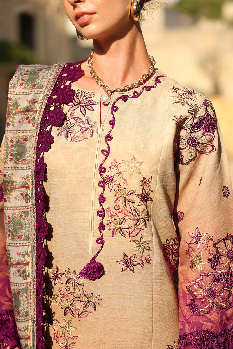 Rangrasiya | Carnation Winter | Chai