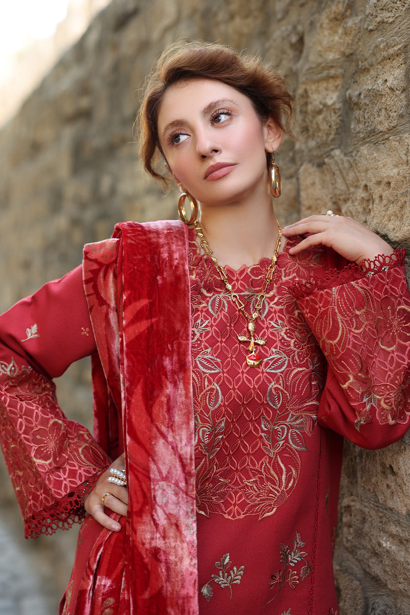 Rangrasiya | Carnation Winter | Cold Brew