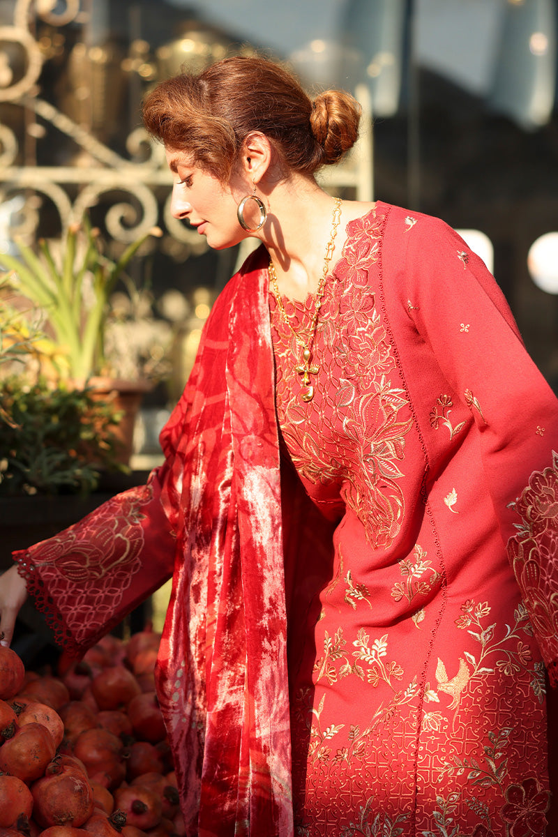Rangrasiya | Carnation Winter | Cold Brew