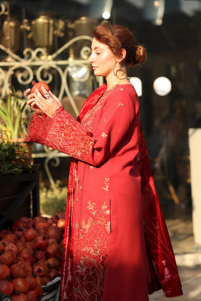 Rangrasiya | Carnation Winter | Cold Brew