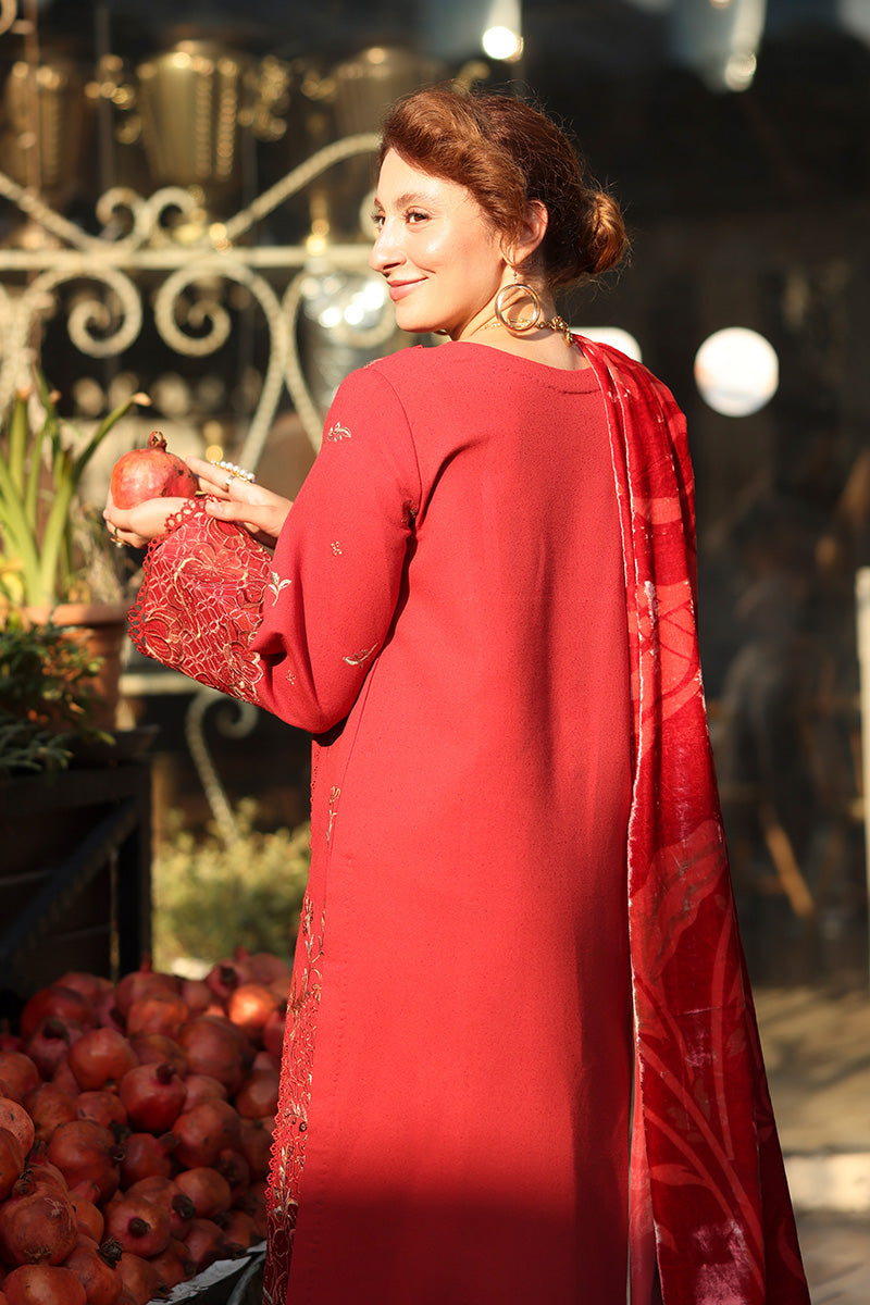 Rangrasiya | Carnation Winter | Cold Brew