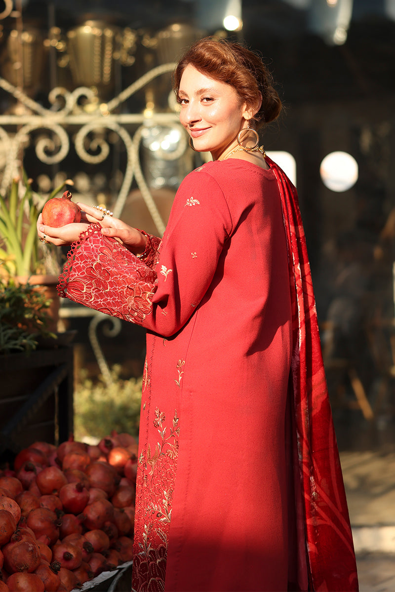 Rangrasiya | Carnation Winter | Cold Brew