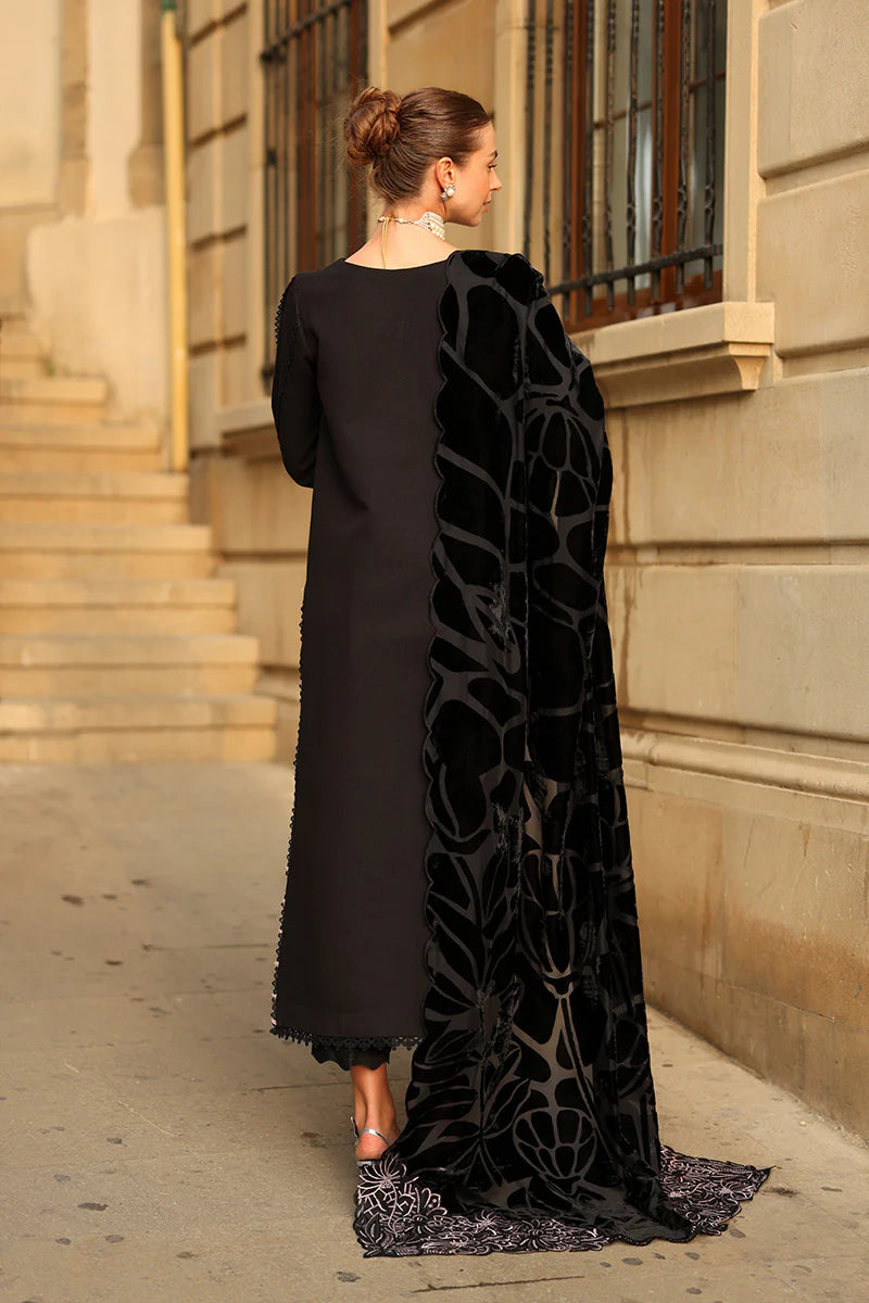 RANG RASIYA | WINTER CARNATION | Cortado