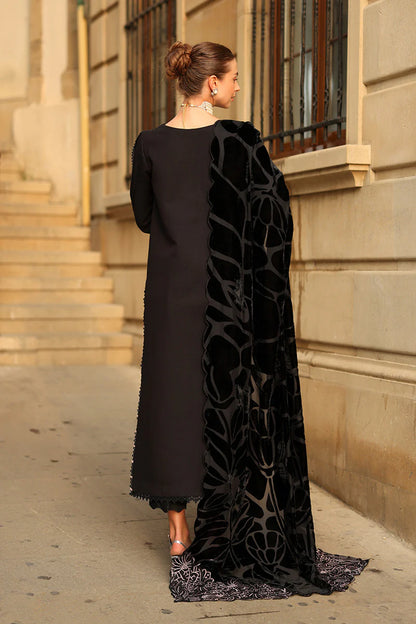 RANG RASIYA | WINTER CARNATION | Cortado