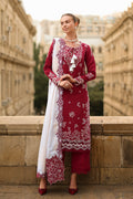 Rangrasiya | Carnation Winter | Rose