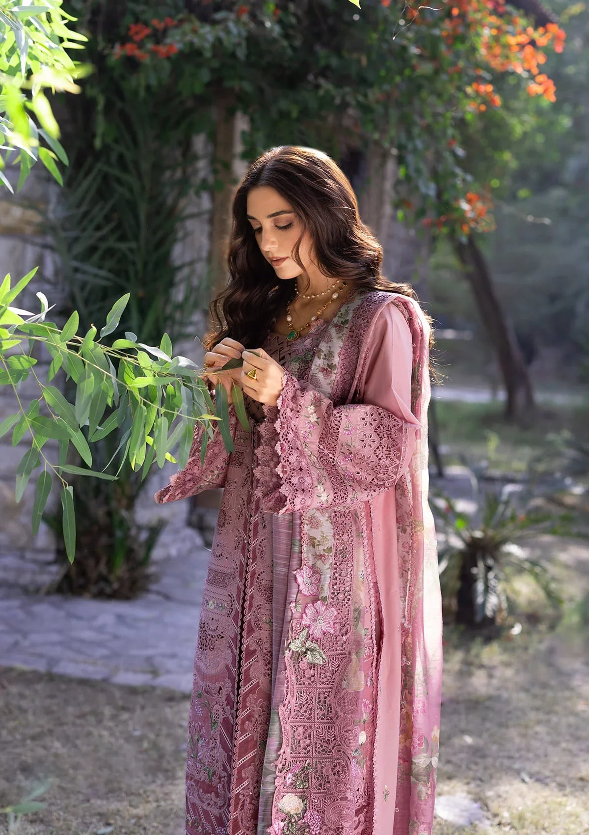 Elaf | Luxary Lawn |  Rosee