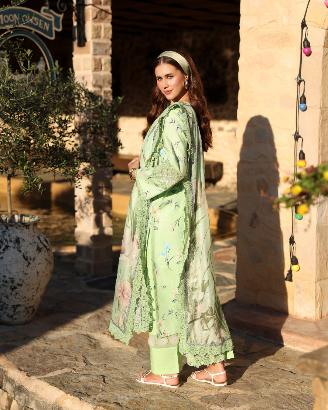 Ayleen | Naqsh Summer '26 | Ronaq