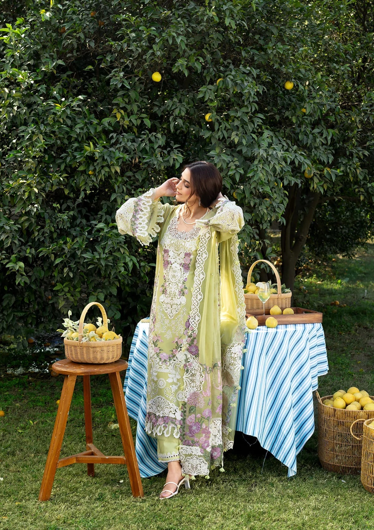 Elaf | Luxary Lawn | Pistachia