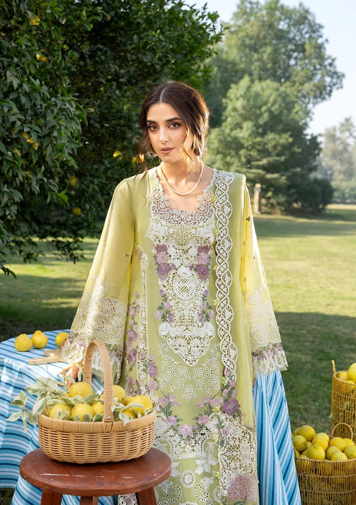 Elaf | Luxary Lawn | Pistachia