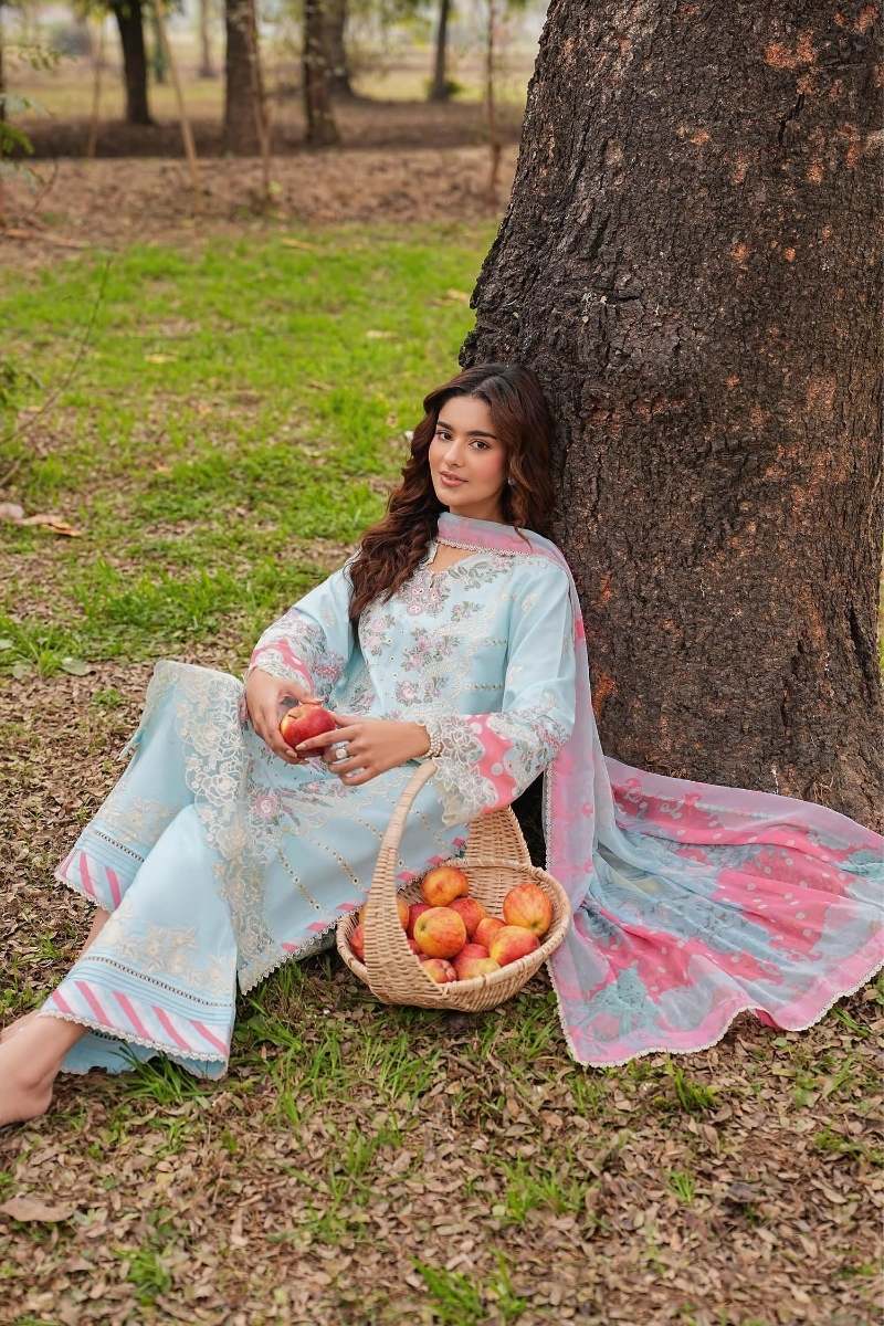 Ramsha | Dhanak Lawn | D - 106