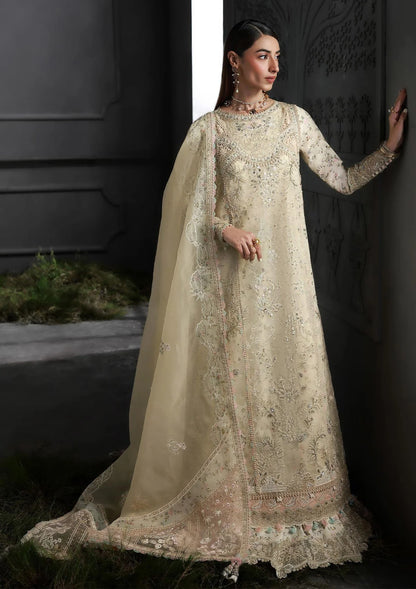 QALAMKAR | FESTIVE | IVORY GRACE