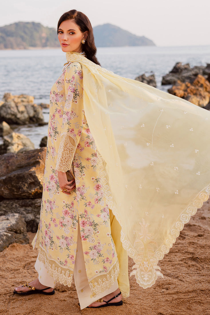 MPL-88 B (Yellow)