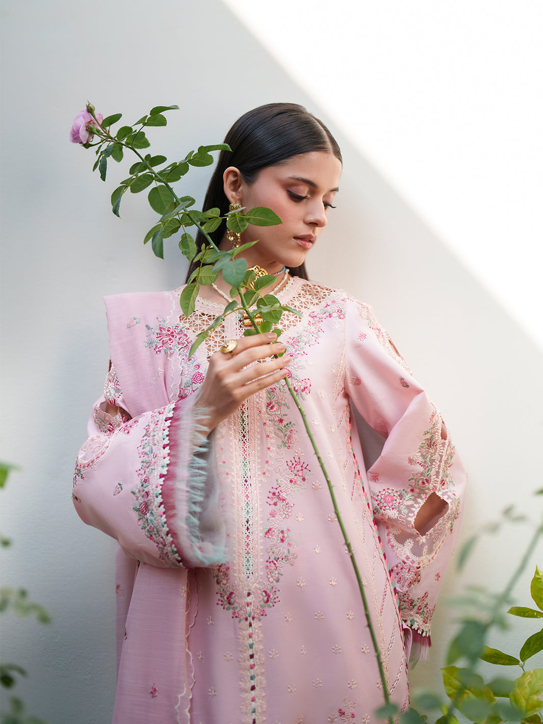 Bin ILyas | Heritage Dore - Unstitched 3 PC Lawn | 176-B