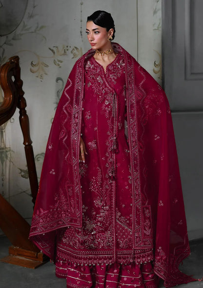 QALAMKAR | FESTIVE |  AMARIS