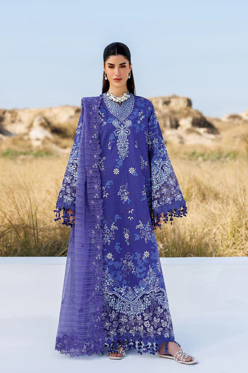 EMAAN ADEEL | SUNLIT GROOVE | PETAL PULSE