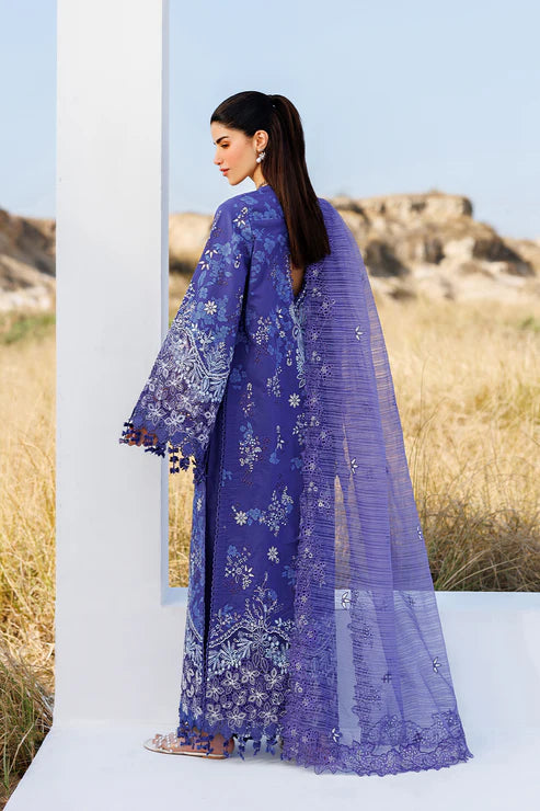 EMAAN ADEEL | SUNLIT GROOVE | PETAL PULSE