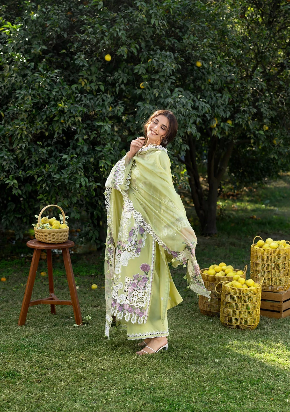 Elaf | Luxary Lawn | Pistachia