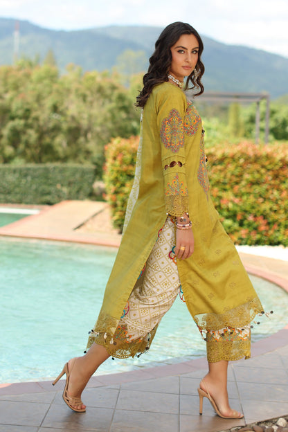 CHARIZMA | 3-PC Unstitched Embroidered Lawn Collection | AN6-01