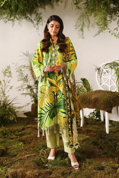 NAQSH | VISCOSE | Lime Peel