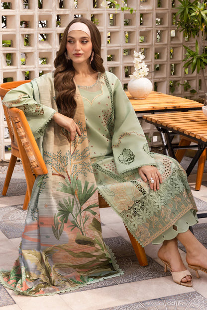 Rang Rasia | Carnation | Areha
