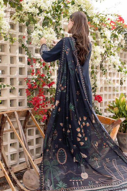 Rang Rasia | Carnation | Liaro