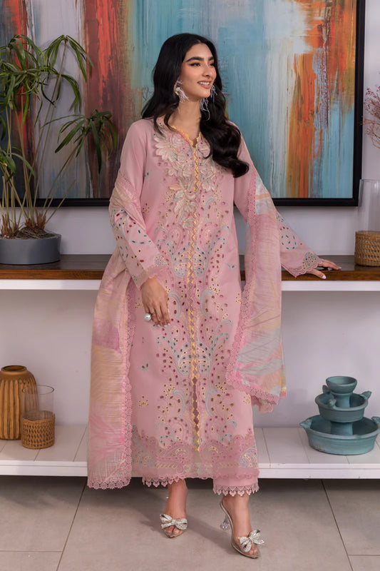 Rang Rasia | Carnation | Irha