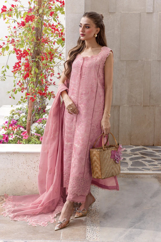 Rang Rasia | Carnation | Mila