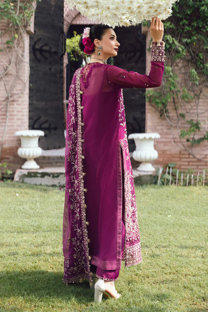 RANG RASIYA | WEDDING FORMALS | Nimir