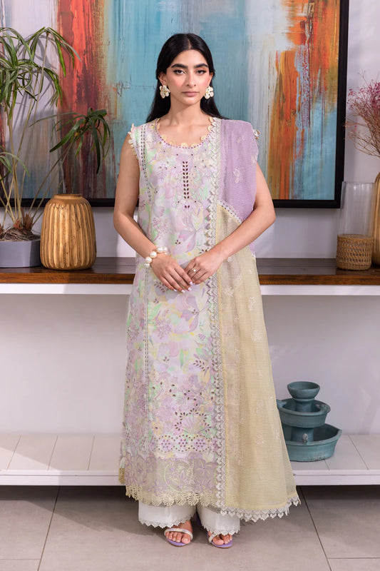 Rang Rasia | Carnation | Lara