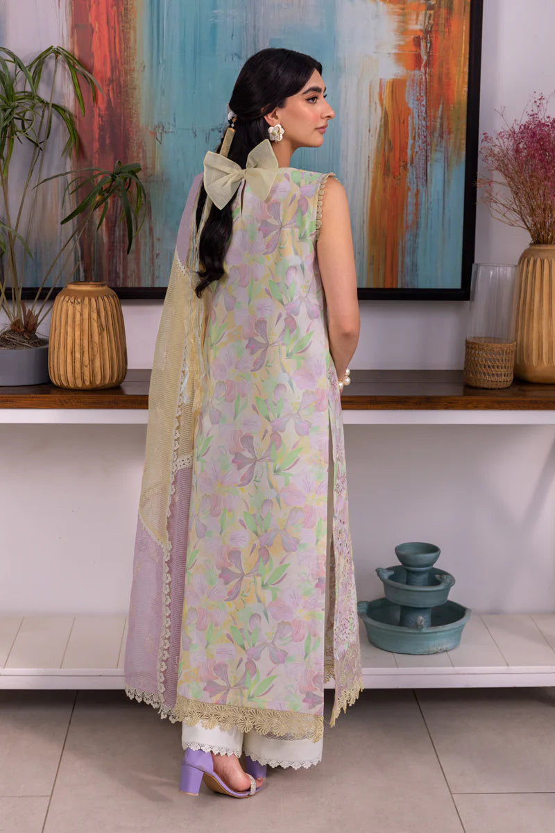 Rang Rasia | Carnation | Lara