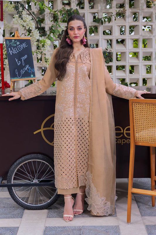 Rang Rasia | Carnation | Kaia