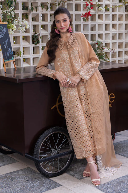 Rang Rasia | Carnation | Kaia
