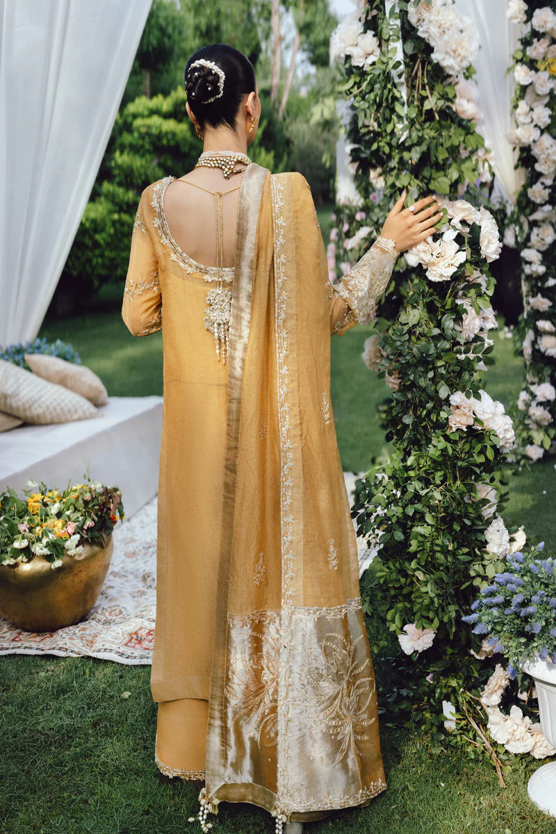 RANG RASIYA | WEDDING FORMALS | Misha