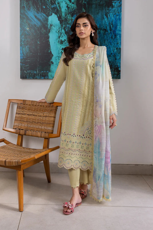 Rang Rasia | Carnation | Nora