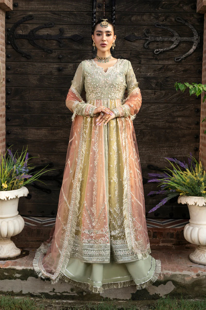 RANG RASIYA | WEDDING FORMALS | Amil