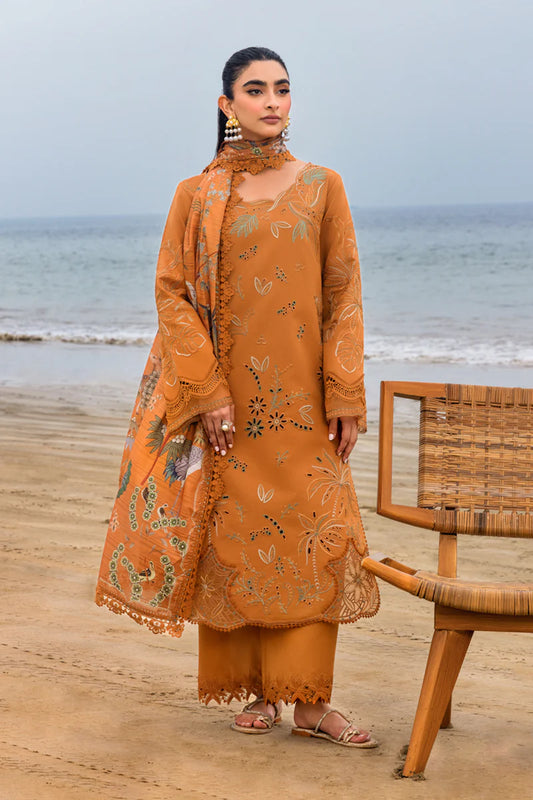 Rang Rasia | Carnation | Isla