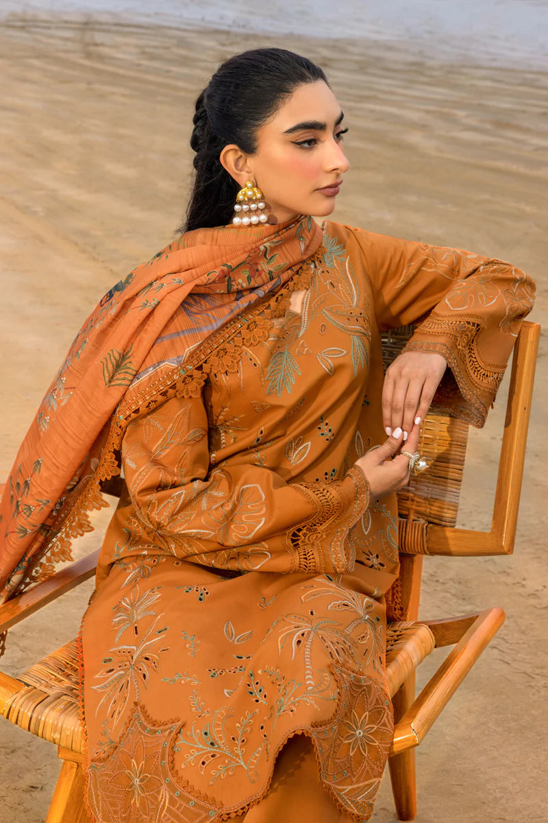 Rang Rasia | Carnation | Isla