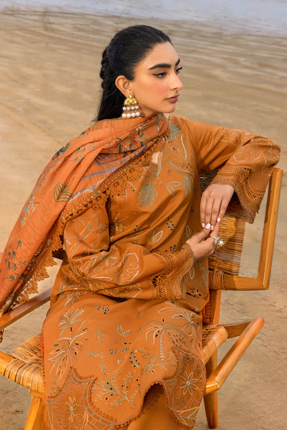 Rang Rasia | Carnation | Isla