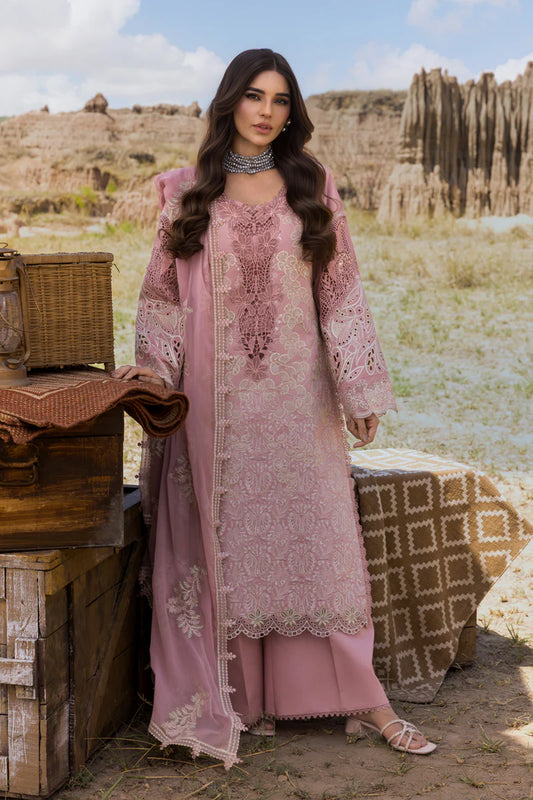 Rang Rasiya | Premium Eid Collection | Aysel